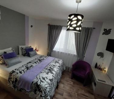 Jablonec nad Nisou House | Apartmány Freesia