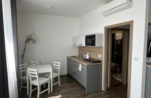 Pavlov Apartment | Apartmány Maidenburg