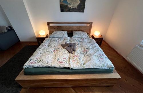 Dolni Ujezd Apartment | Apartmány MonTexas
