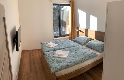 Abertamy Apartment | Apartmány na Plešivci