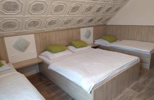 Velke Losiny Apartment | Apartmány Okoun