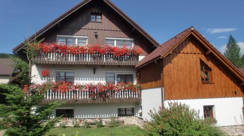 Rokytnice nad Jizerou Apartment | Apartmány Votočkovi