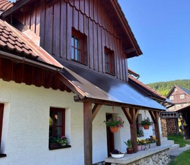 Rokytnice nad Jizerou Apartment | Apartmány Votočkovi