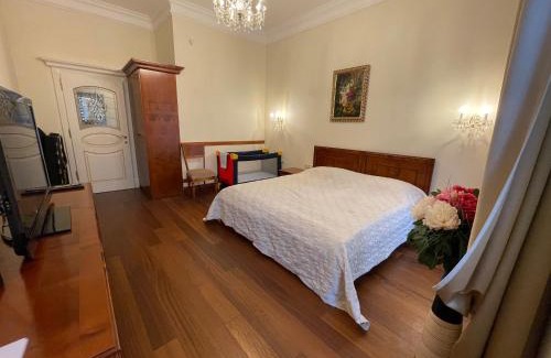 Karlovy Vary Apartment | Apartma Premium