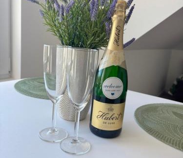 Opatovce nad Nitrou Apartment | Apartman Bojnice Kúpele