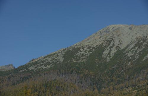 Vysoke Tatry Apartment | Apartman D304