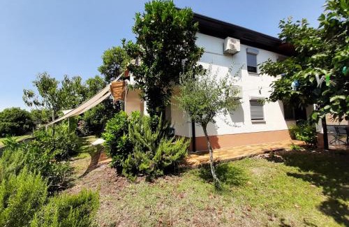 Fiorini Apartment | Apartman Fiorini Zofija