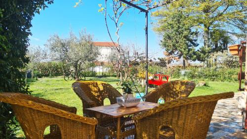 Stranici kod Nove Vasi Apartment | Apartman Kos