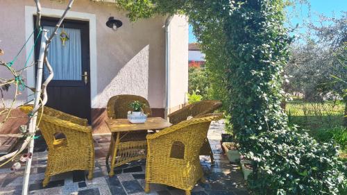 Stranici kod Nove Vasi Apartment | Apartman Kos