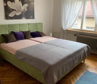 Svratka Apartment | apartman Luník