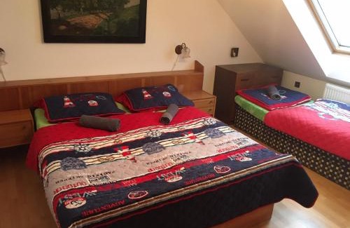 Sec Apartment | Apartman Majak Sec