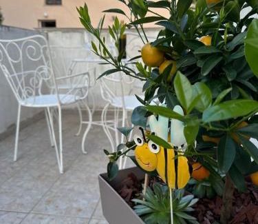 Veljun Primorski Apartment | Apartman Paulina 1