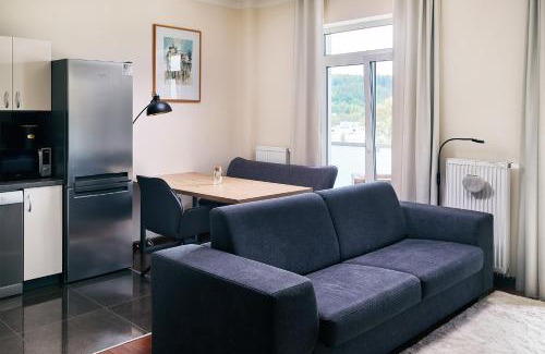Karlovy Vary Apartment | Apartman Residence Moser 1504