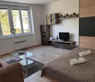 Ruzomberok Apartment | Apartman RUŽA7