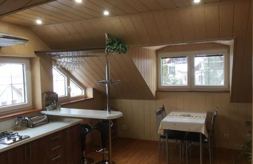 Banska Stiavnica Apartment | Apartman U Holica
