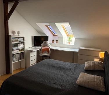 Martin Apartment | Apartman v širšom centre Martina NICE s klimatizáciou