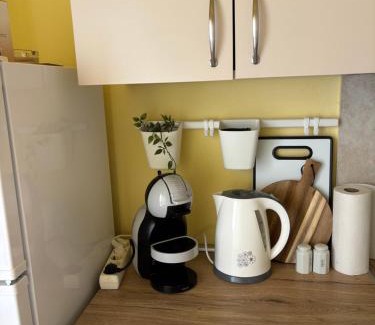 Bosana Apartment | Apartmani Fijan