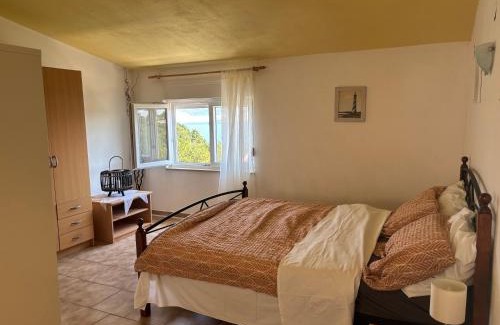 Bosana Apartment | Apartmani Fijan