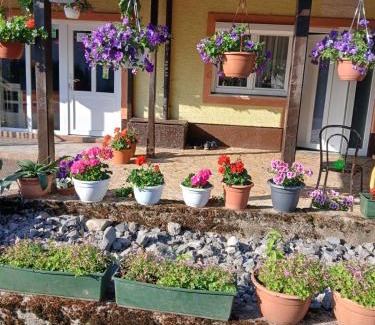 Krasno Polje Apartment | Apartmani Ruza