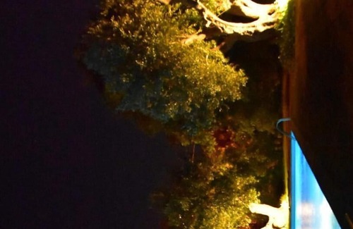 Monteroni di Lecce Villa | Apartmant placed in the green with swimming-pool