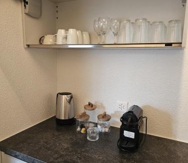 Mandach Apartment | Apartment 2 Hügelruhe Mandach - 25 m2 - 1 Schlafzimmer - Ferien - Business