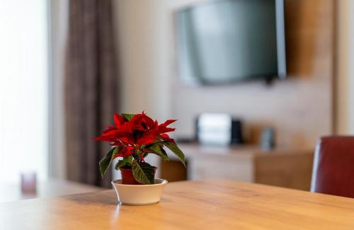 Feldberg Apartment | Apartment 207