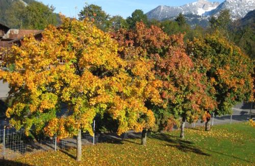 Lenk Apartment | Apartment Aegertenstrasse 10 by Interhome