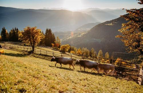 Foiana Apartment | Apartment Andreas - Gallhof