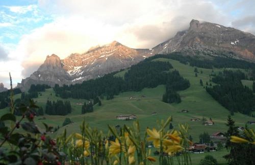 Adelboden Apartment | Apartment Bärgchutzli Parterre by Interhome