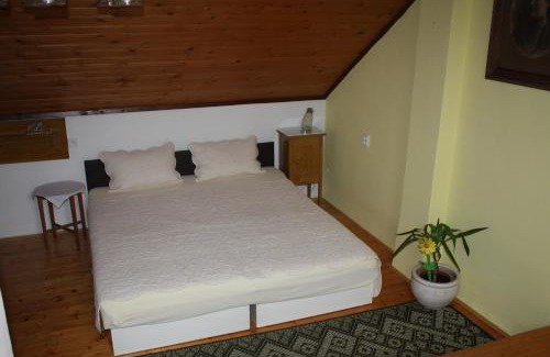 Jindrichuv Hradec Apartment | Apartment BENCI