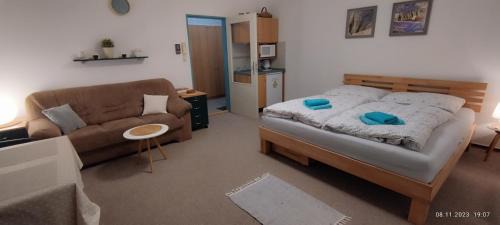 Trebon Apartment | Apartment Bertík