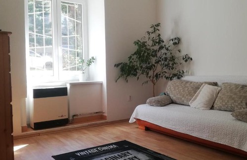 Brno Apartment | Apartment Black Field
