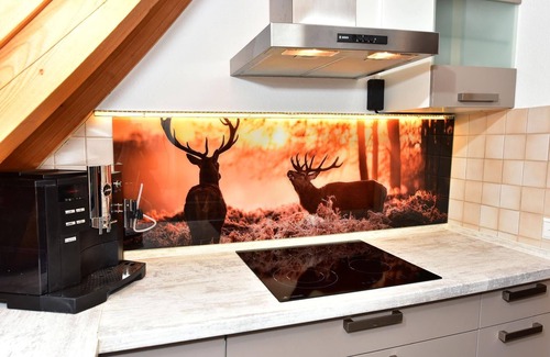 Saig Apartment | Apartment Black Forest Bollenhut Deluxe