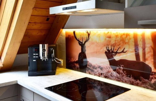 Saig Apartment | Apartment Black Forest Bollenhut Deluxe