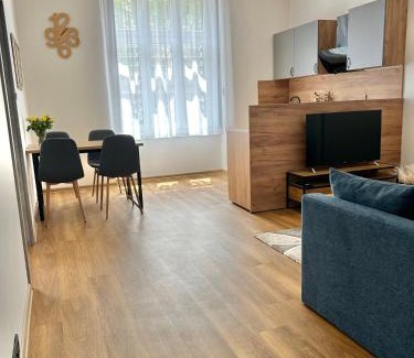 Karlovy Vary Apartment | Apartment Dita