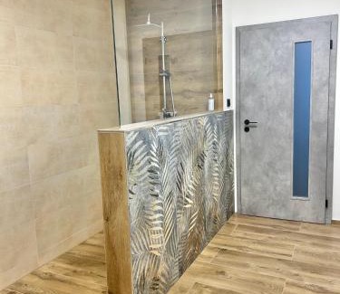 Karlovy Vary Apartment | Apartment Dita