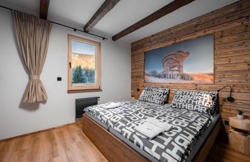 Dolni Morava Apartment | Apartment Dolní Morava-2 by Interhome