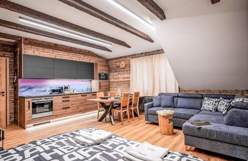 Dolni Morava Apartment | Apartment Dolní Morava-4 by Interhome