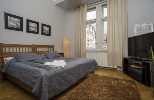 Josefov Apartment | Apartment Dusni