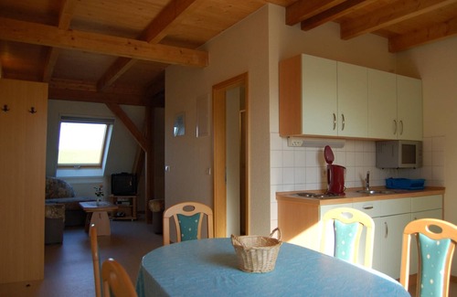 Putbus Apartment | Apartment-Family-Ensuite with Shower