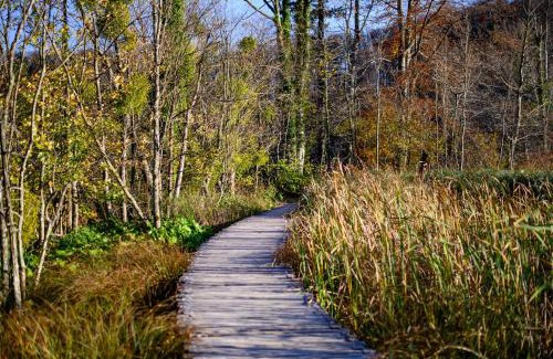 Poljanak House | Apartment Goran