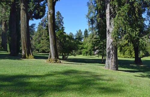 Porto Valtravaglia Apartment | Apartment Hermitage-2 by Interhome