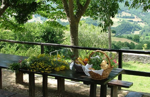 Ponte Grande Apartment | Apartment in a beautiful old estate, nature reserve "Monte Subasio".