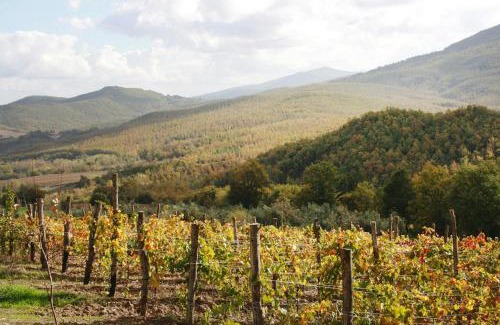 Chiusdino Apartment | Apartment in Chiusdino