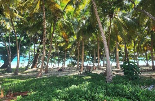 Paraiso Apartment | Apartment in front of beach, AC, Wifi, Hot Water