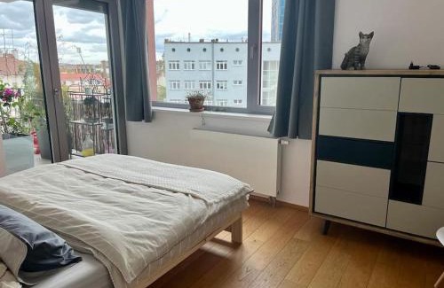 Plzen Apartment | Apartment in historical center with park view