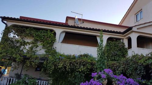 Lopar Apartment | Apartment in Lopar - Insel Rab 17757