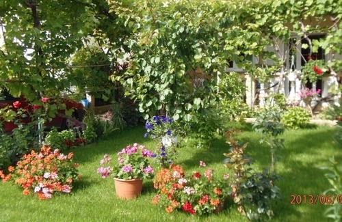 Lopar Apartment | Apartment in Lopar with Terrace, Air condition, WIFI, Washing machine (899-3)