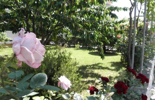 Lopar Apartment | Apartment in Lopar with Terrace, Air condition, WIFI, Washing machine (893-3)