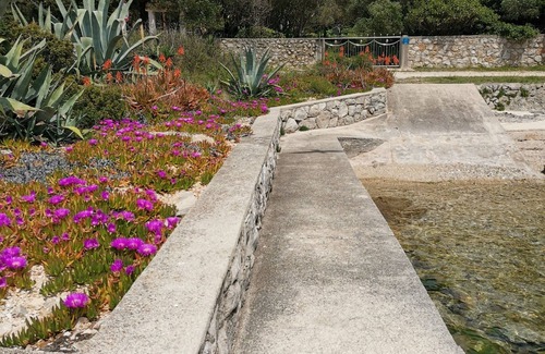 Cove Murtar Apartment | Apartment in Mali Lošinj with Seaview, Terrace, Air condition, WIFI (3780-2)